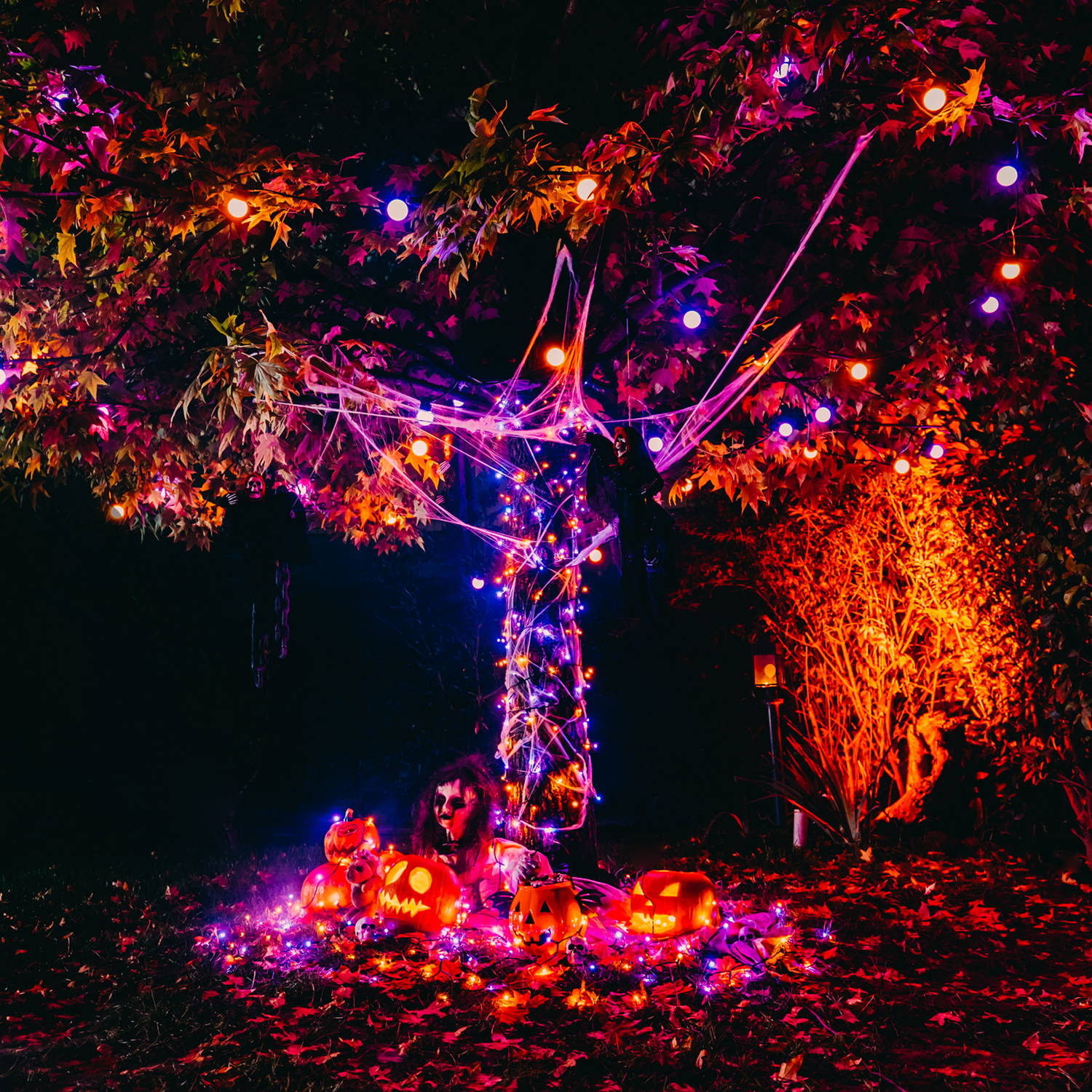 Halloween themed Twinkly lighting tree display with pumpkins and orange and purple lights