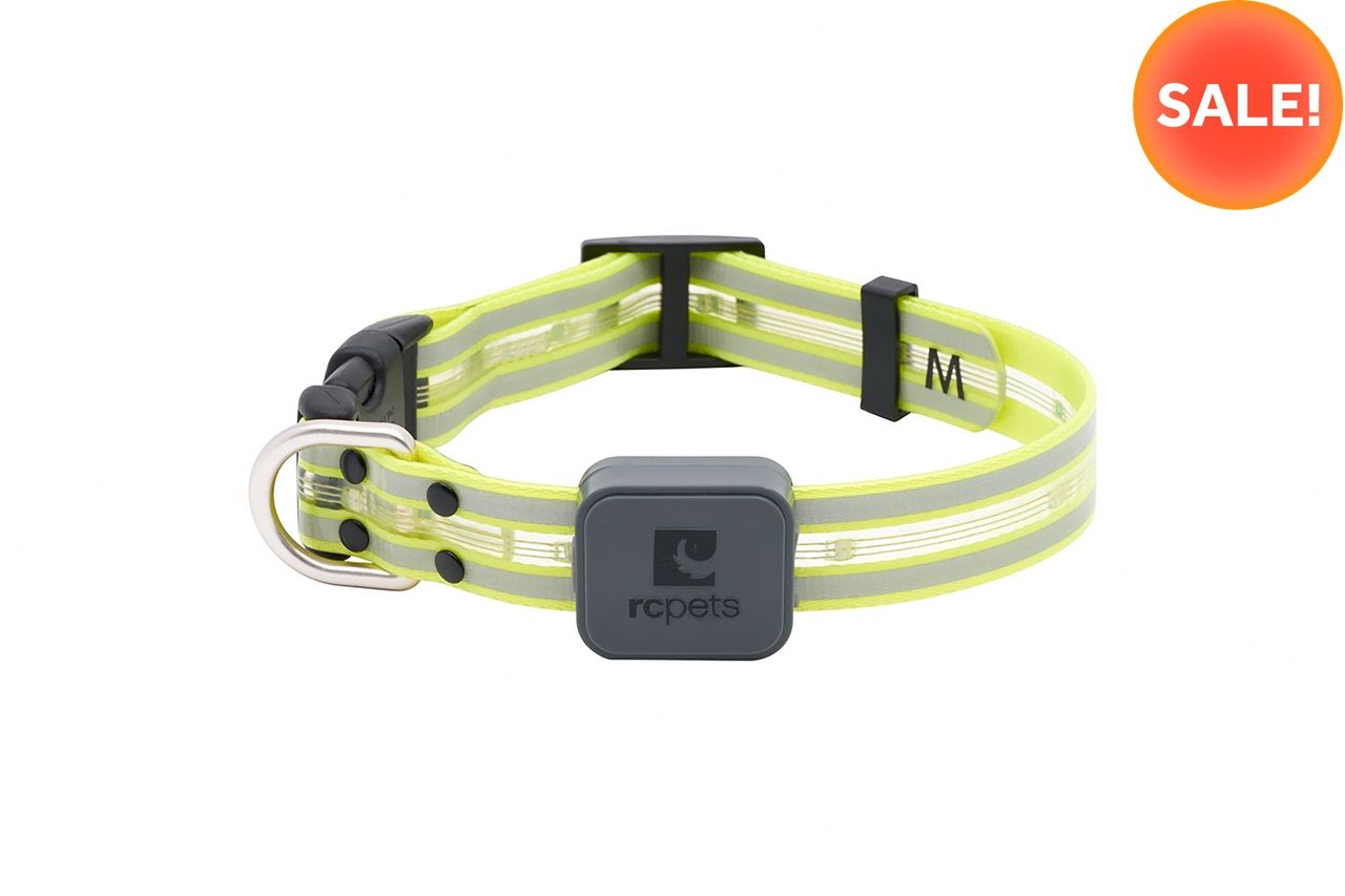 Dog Nova LED Light collar with a sale tag.