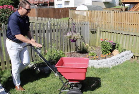 Man spreading fertilizer on his grass with a red drop spreader