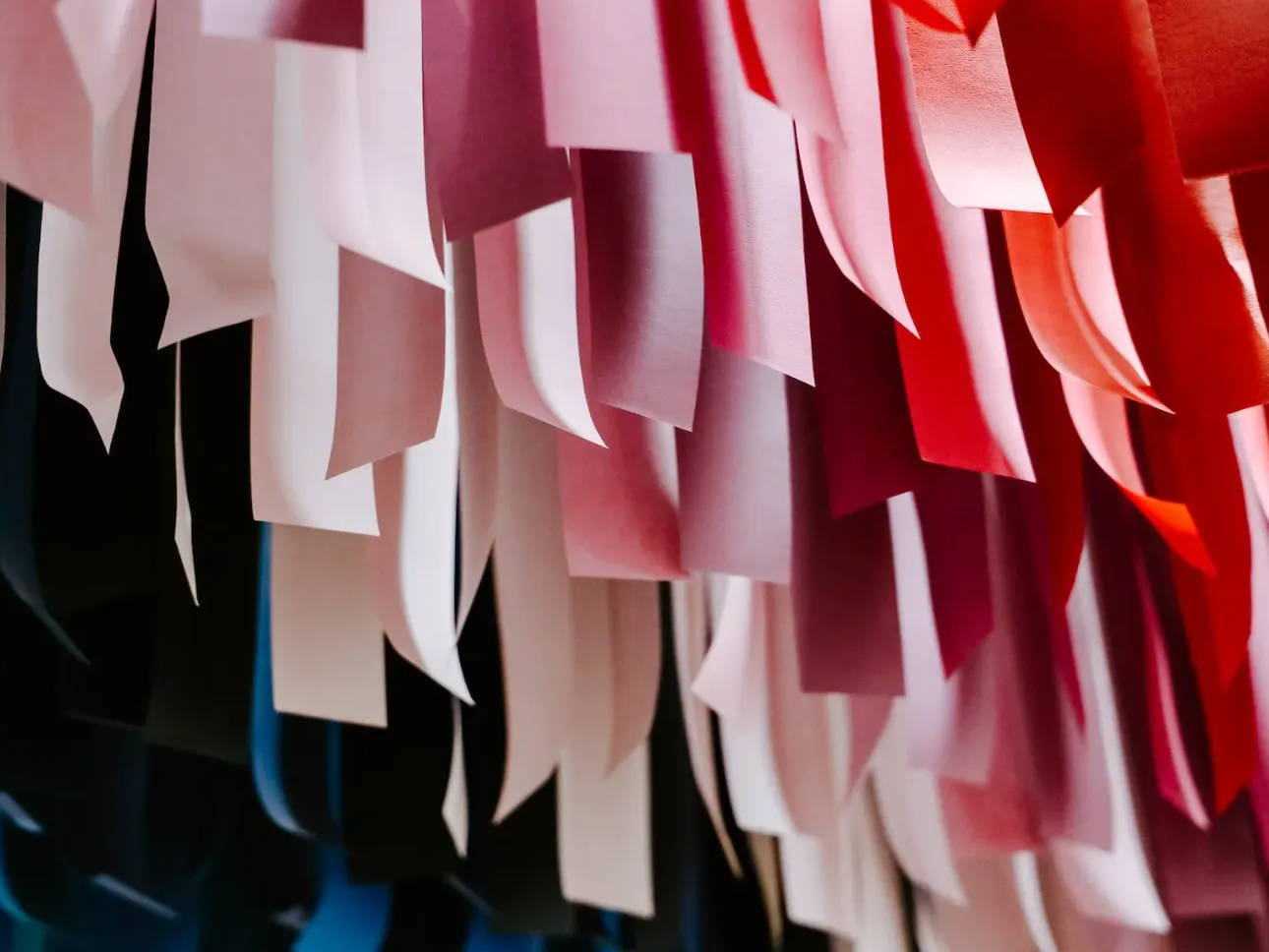 Red, pink, and blue ribbons