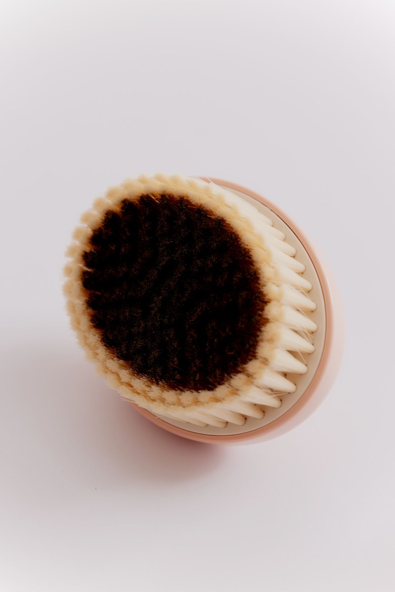 #seo: talm x the right brush