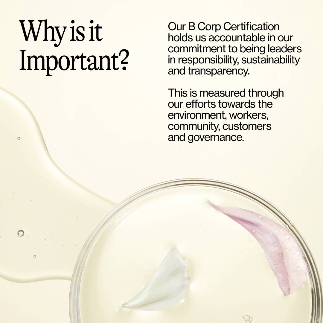 Why is being B Corp certified important?