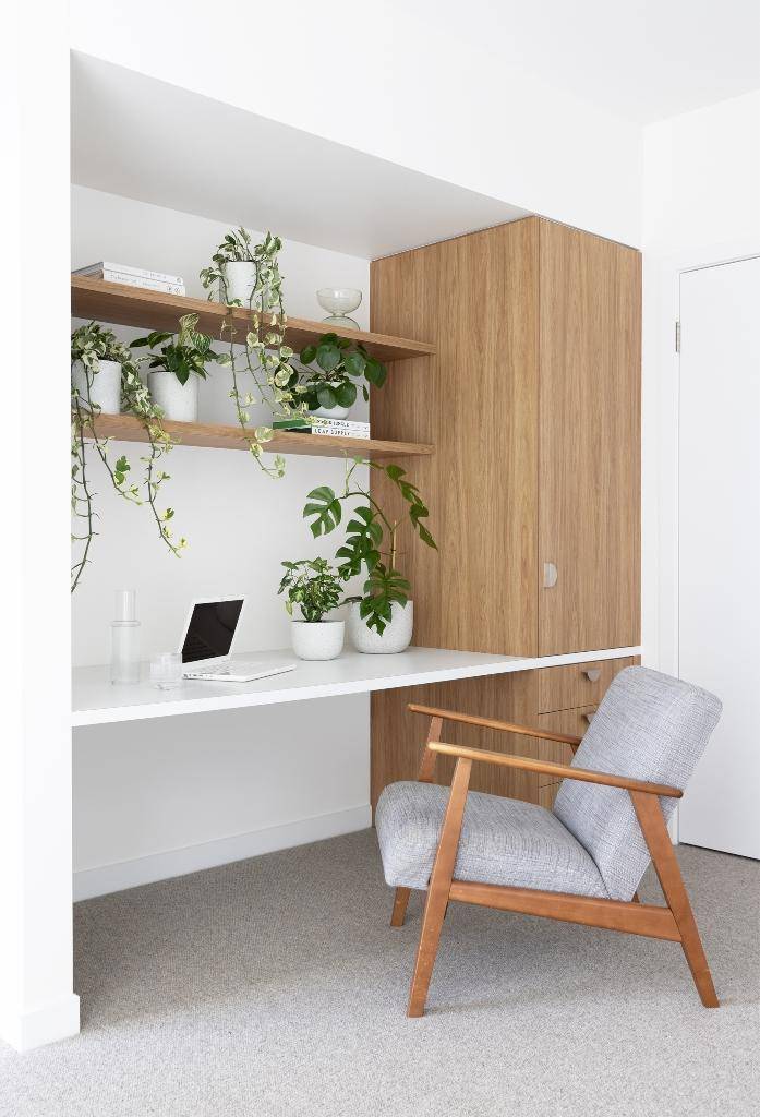 An open office space with shelving full of green indoor plants