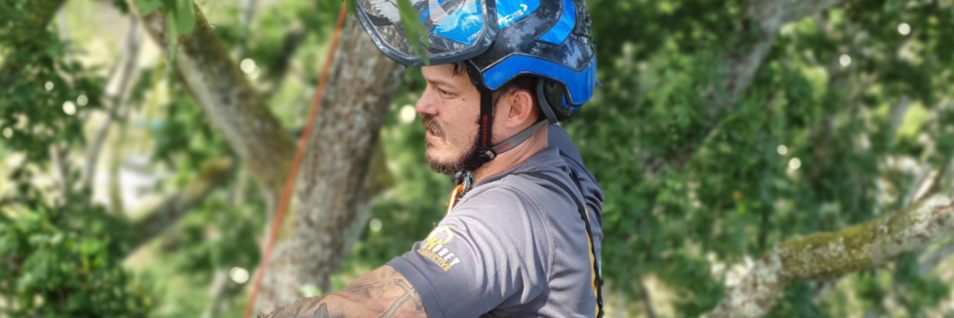 Person wearing a blue helmet, up in the trees.