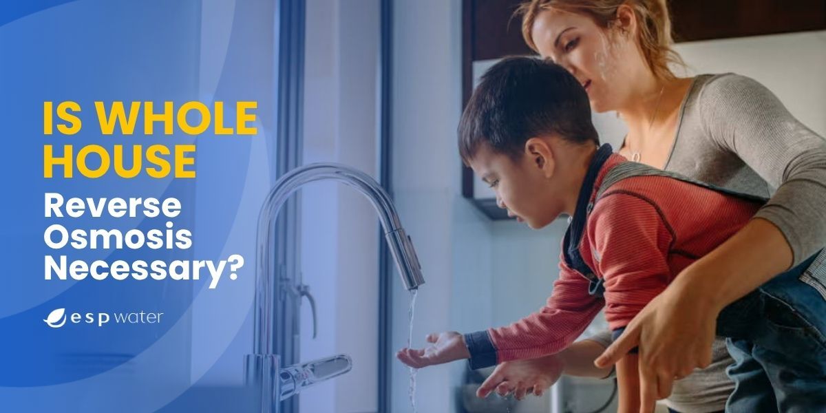 A woman helps a child with a faucet, questioning reverse osmosis necessity.