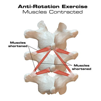 spine motion anti-rotation exercise