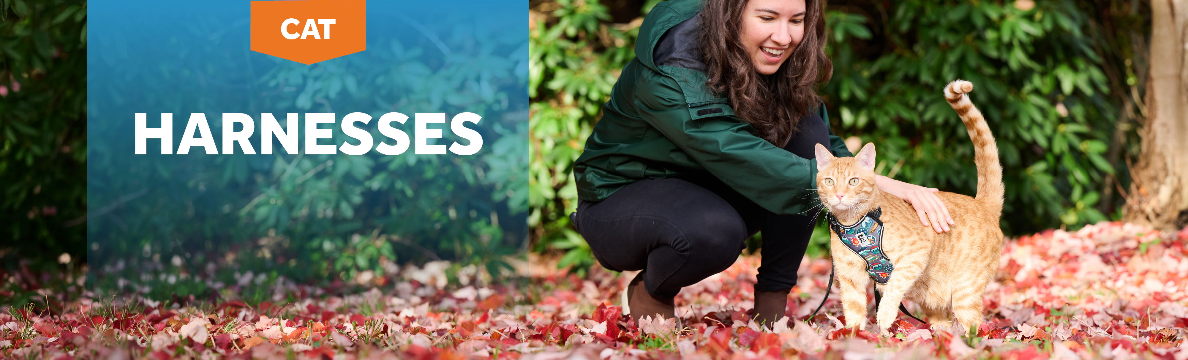 Person kneeling with a cat among autumn leaves, promoting harnesses for cats.