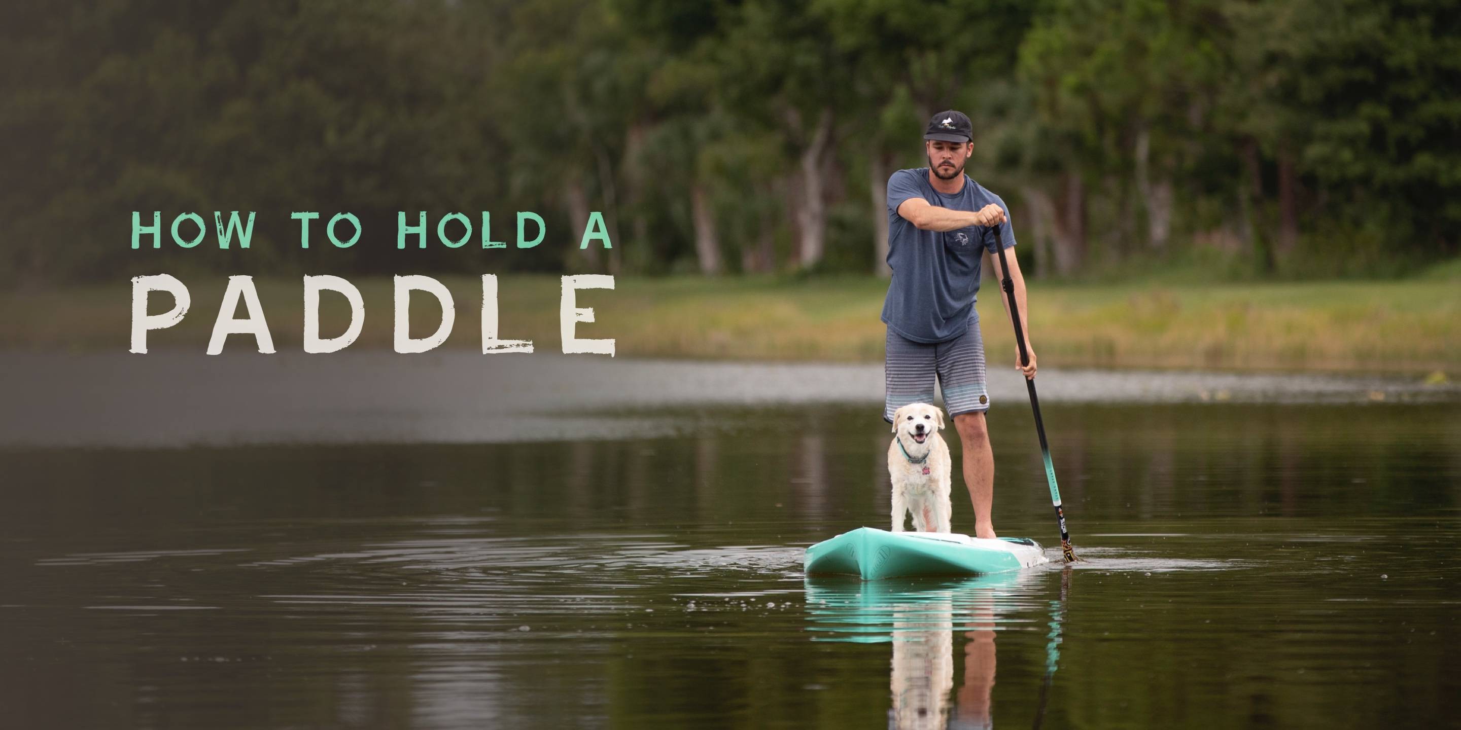 Guy paddling on a BOTE board with his dog