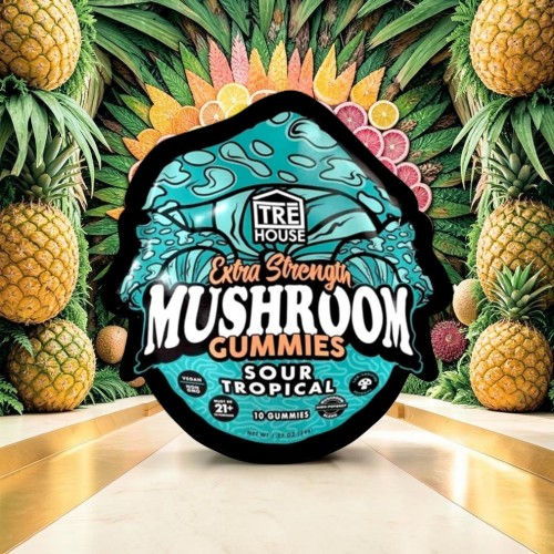 Extra Strength Mushroom Gummies packaging with tropical fruit background.