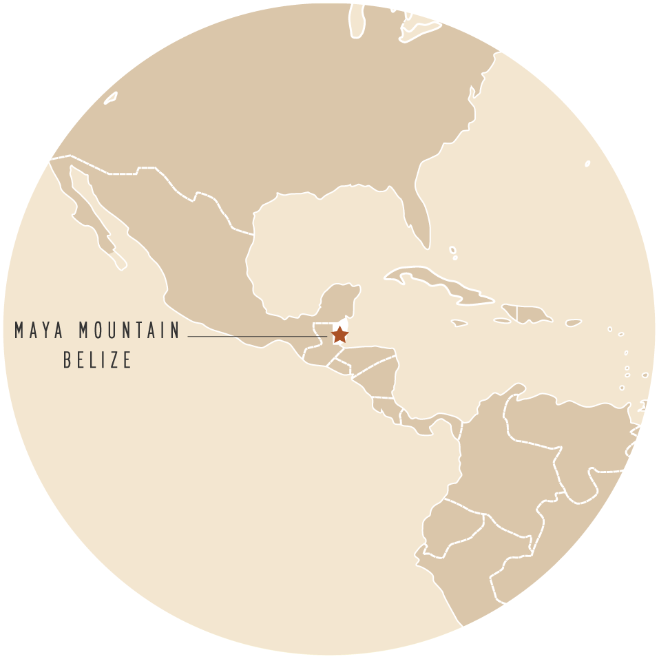 Maya Mountain, Belize map