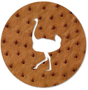 Ostrich