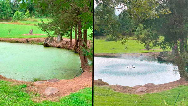 before/after pond treatment