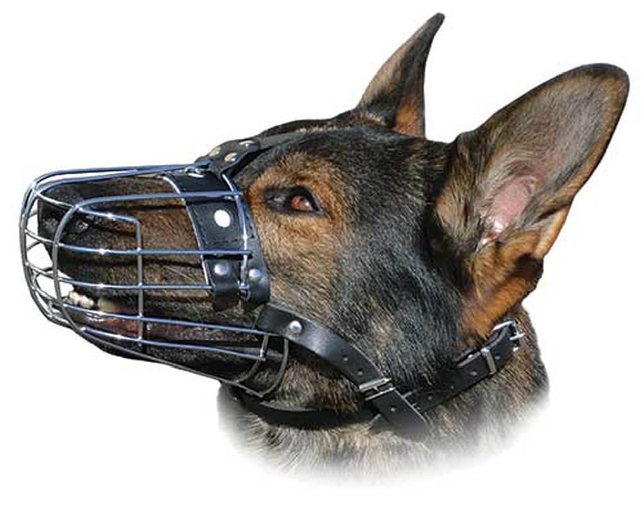 Wire Basket Muzzle