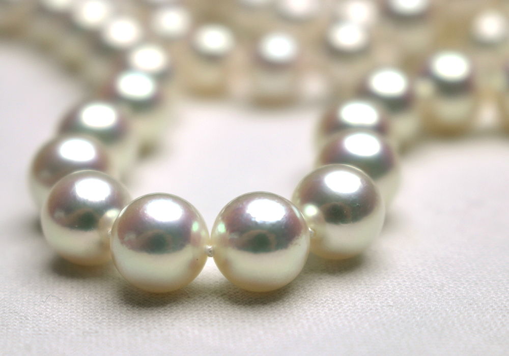 Buy Akoya Pearls Pearls of Joy