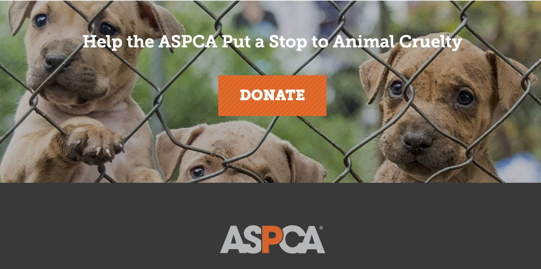 American society for the prevention of cruelty to animals