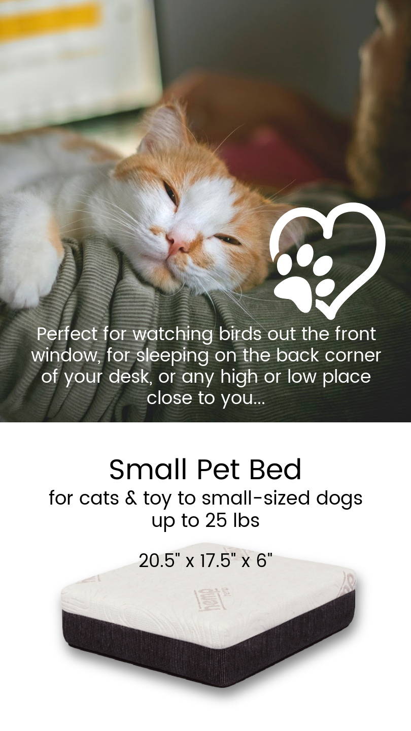 A small sized CBD and copper infused pet bed is perfect for watching birds out the window or for sleeping close to you.