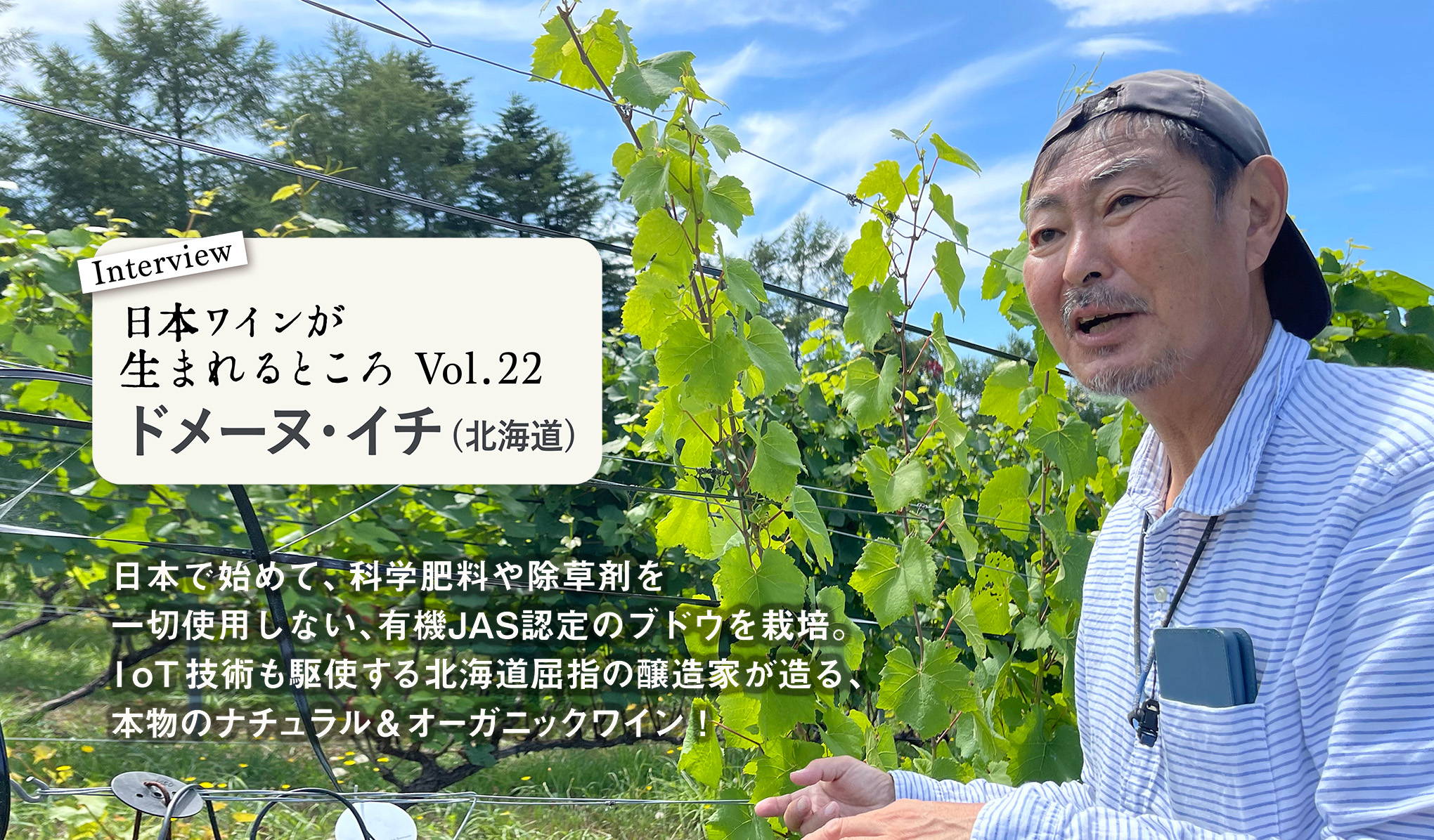 シリーズ・日本ワインが生まれるところ。北海道『ドメーヌ・イチ』上田一郎氏にインタビュー！