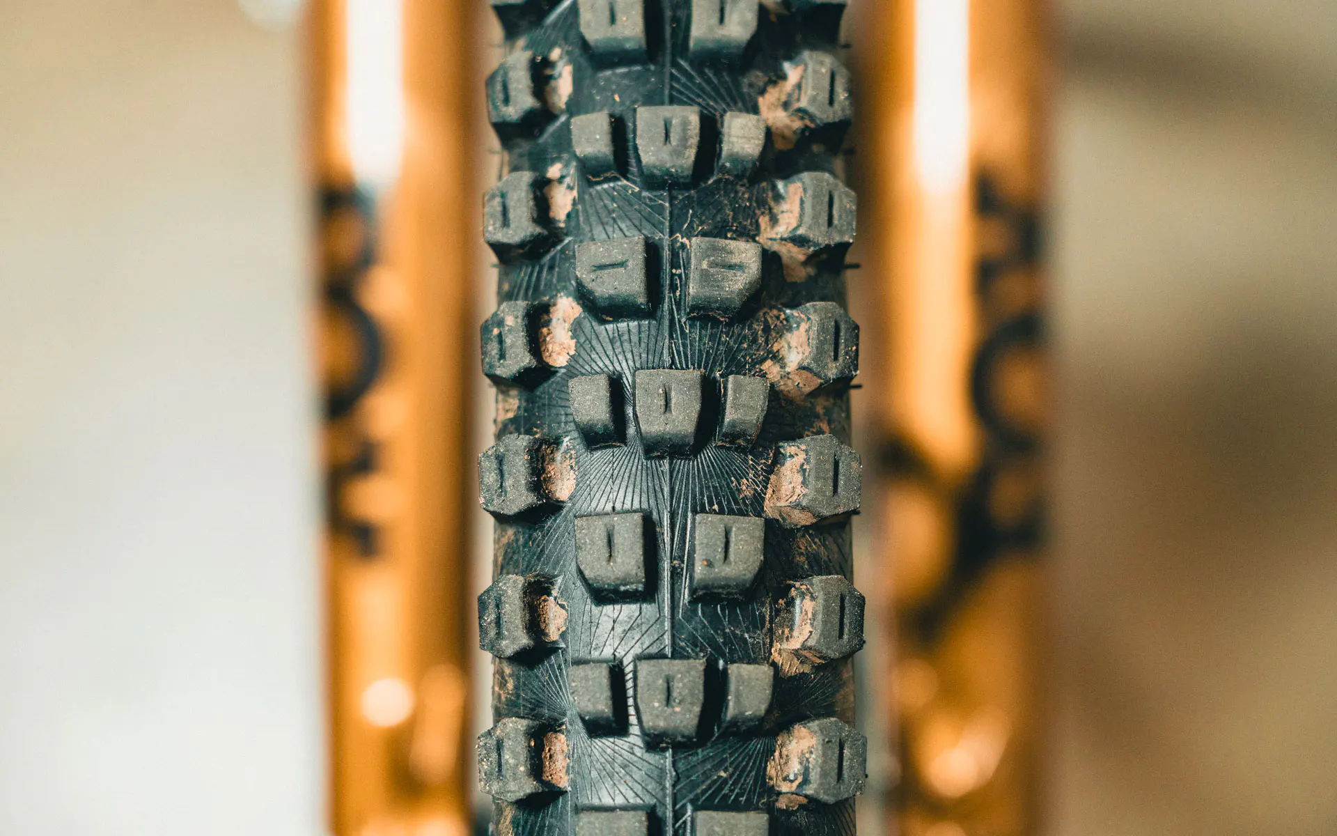 Close-up of a bicycle tire tread with orange rims.