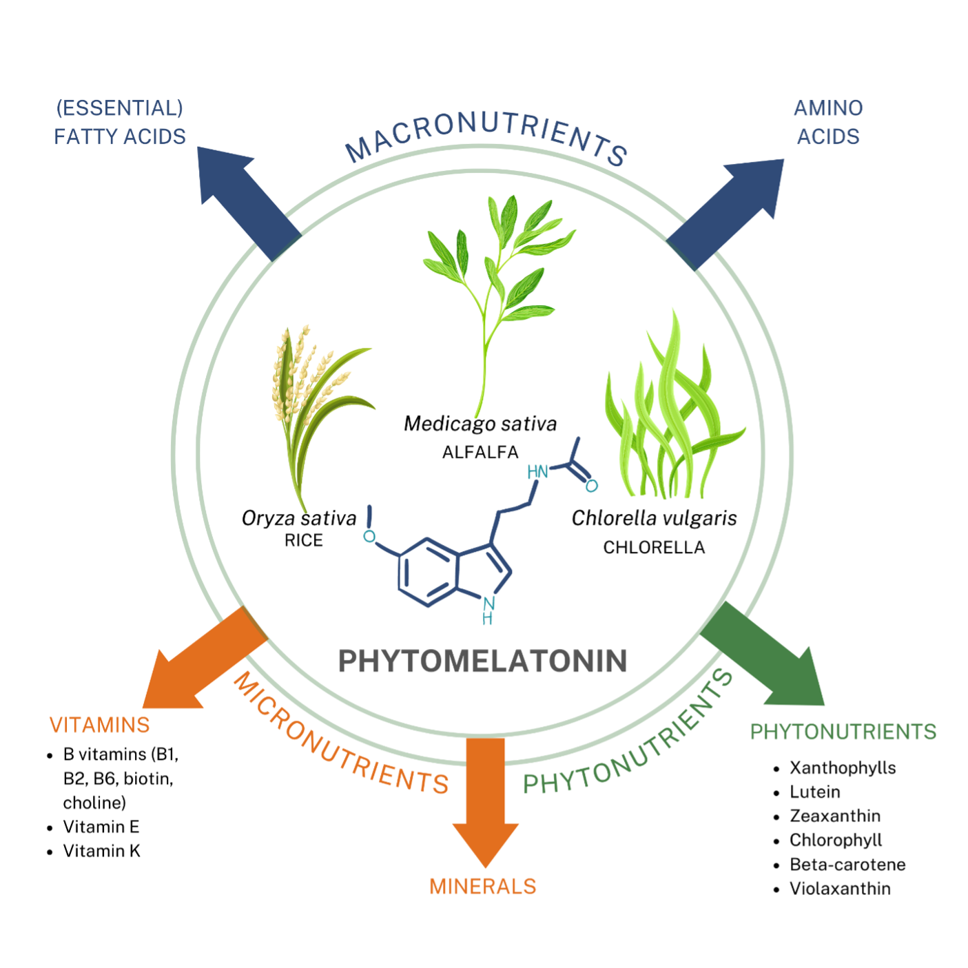 phytomelatonin nutrients