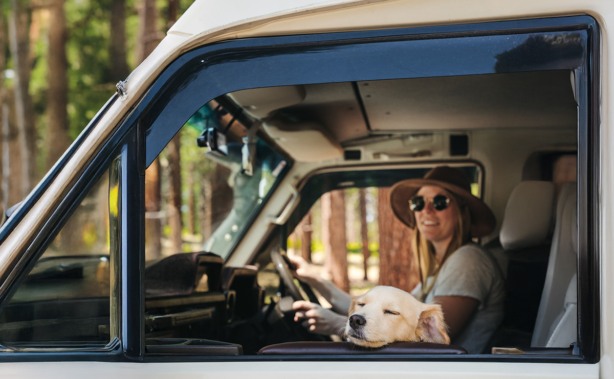 Woman in a van with a dog, surrounded by trees.