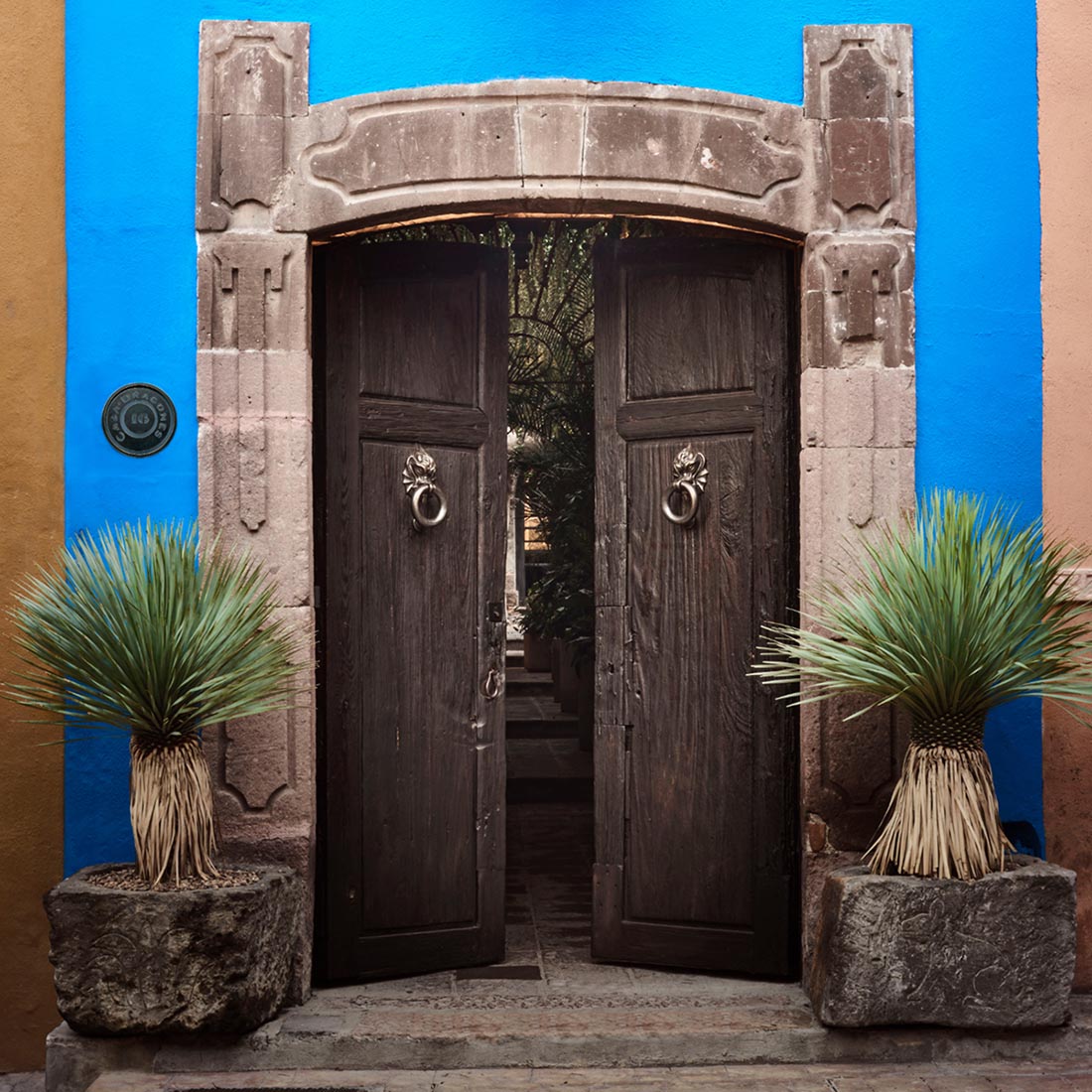Wooden double doors framed by blue wall and potted plants.