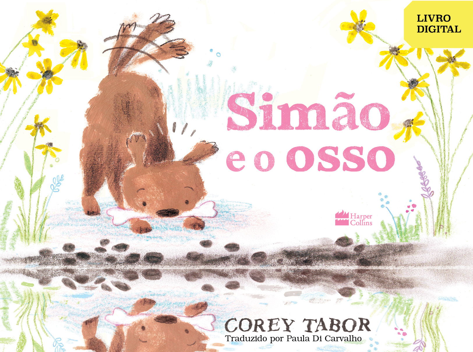 Capa do livro 