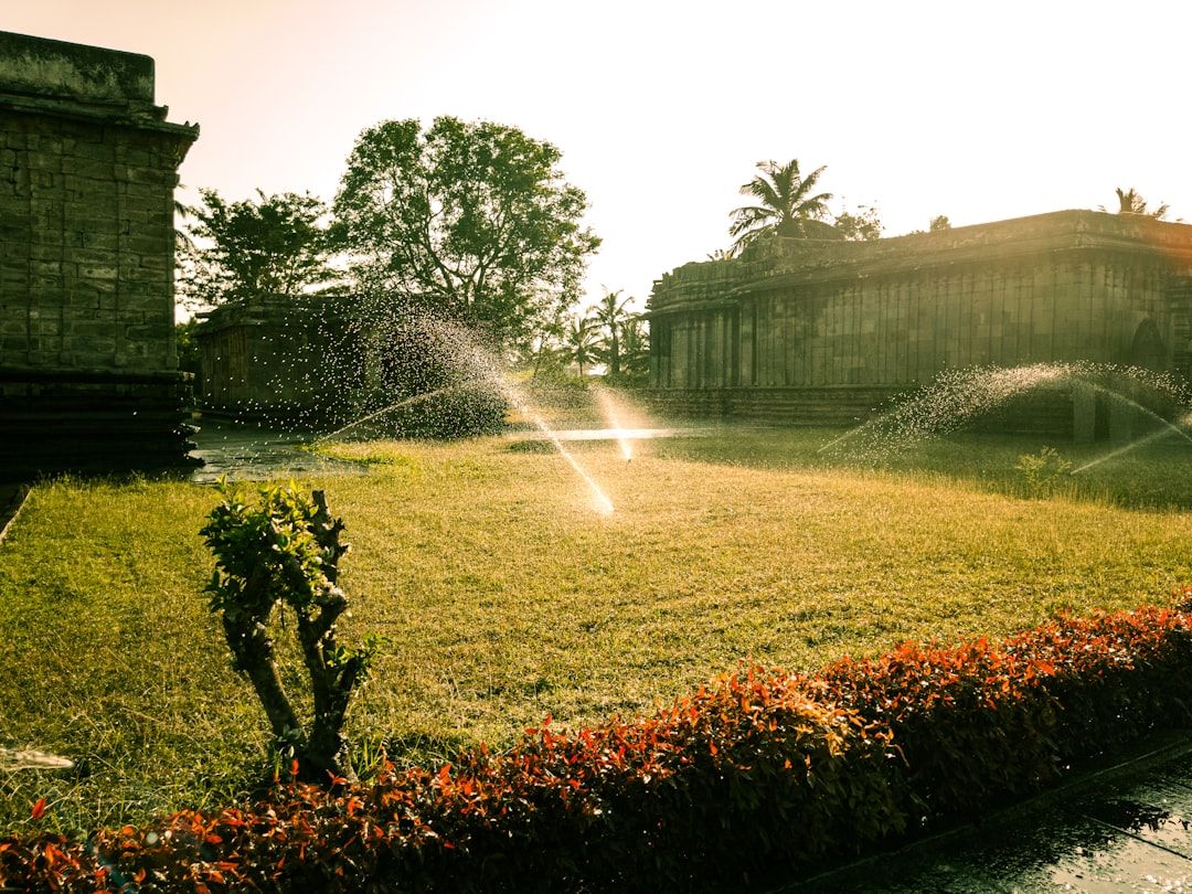 Sprinklers watering a grassy area near old buildings