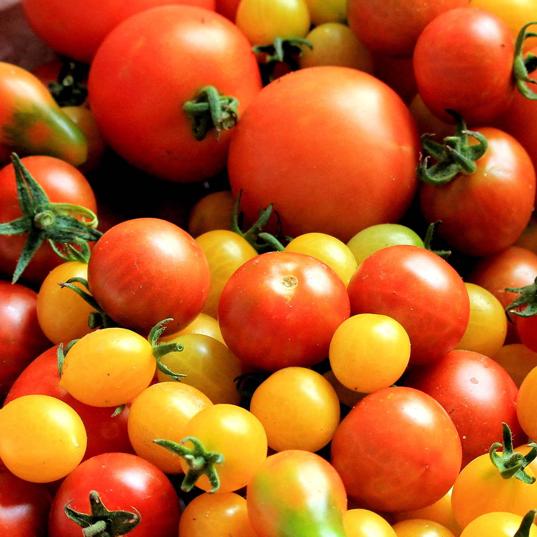 how-to-build-a-sustainable-diet