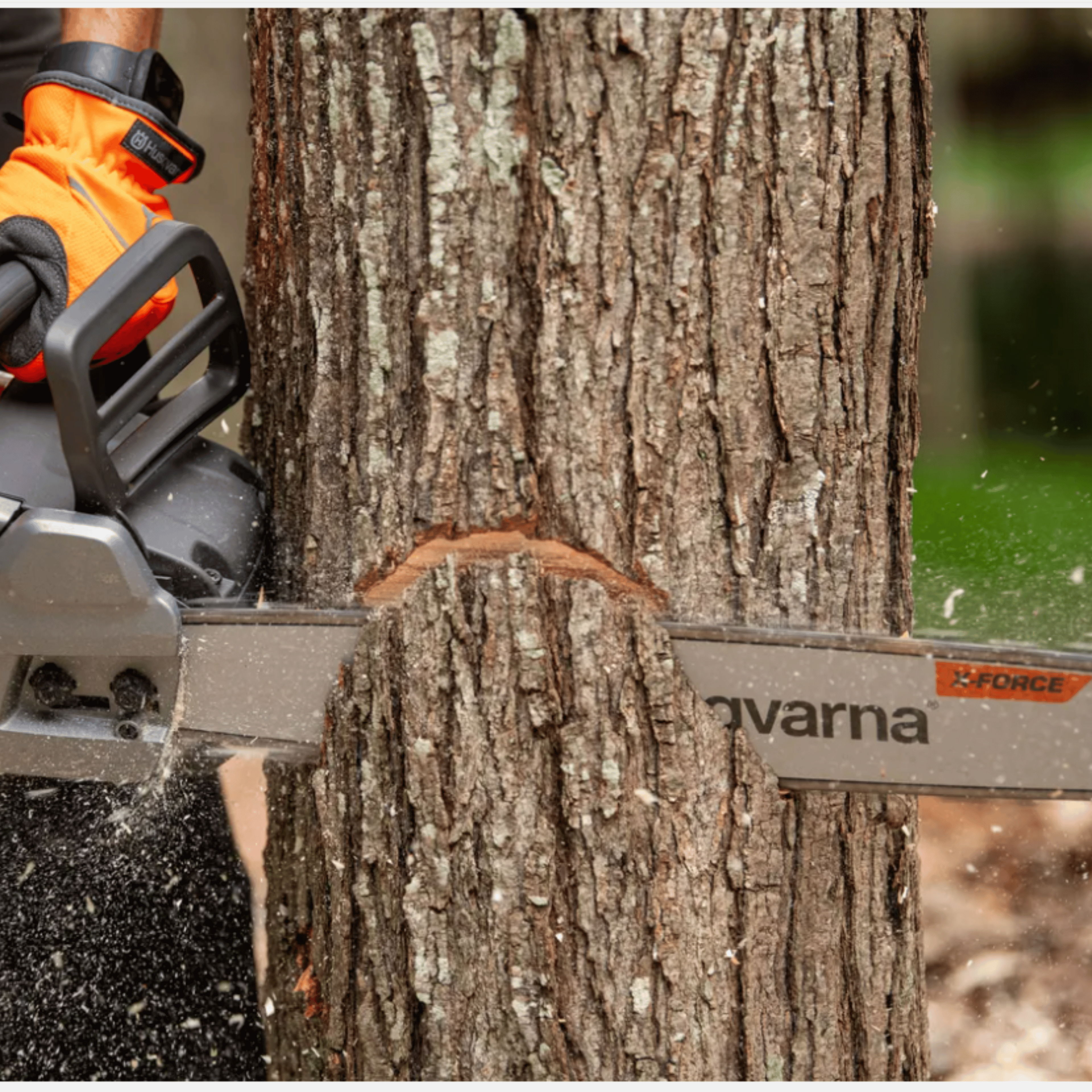 A chainsaw cutting into a tree trunk with sawdust flying.