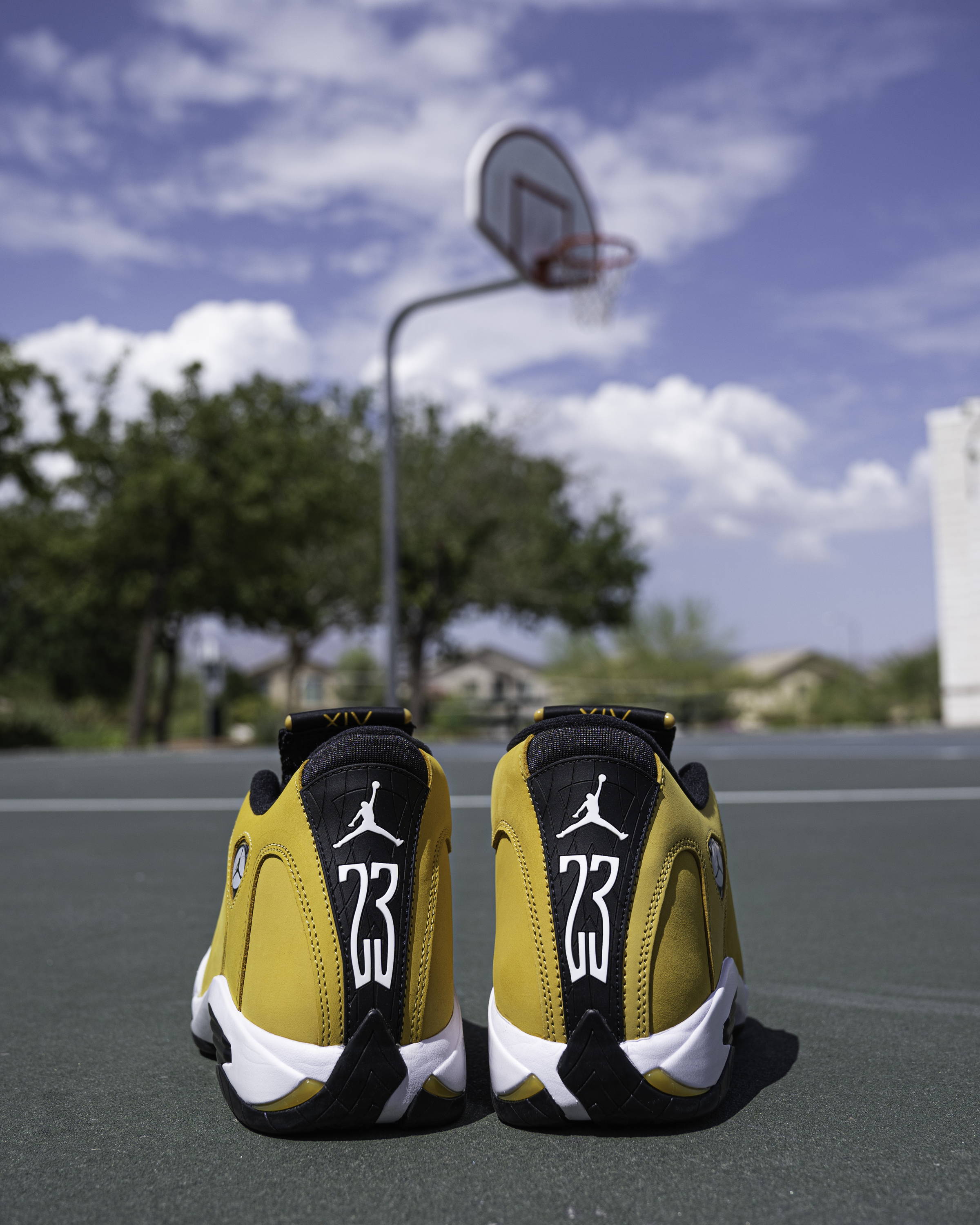 aj14 ginger with basketball hoop in the background