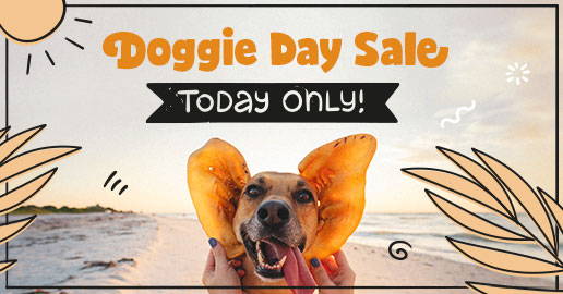 Photo of a dog with Monster Pig Ears. Text: Doggie Day Sale: Today only!