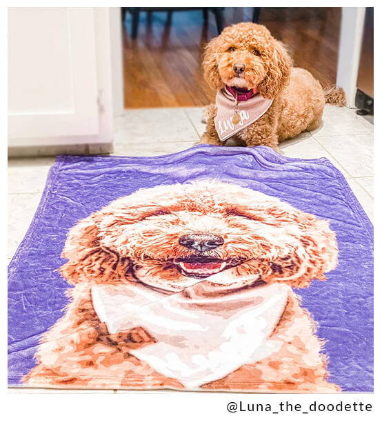 golden doodle blanket