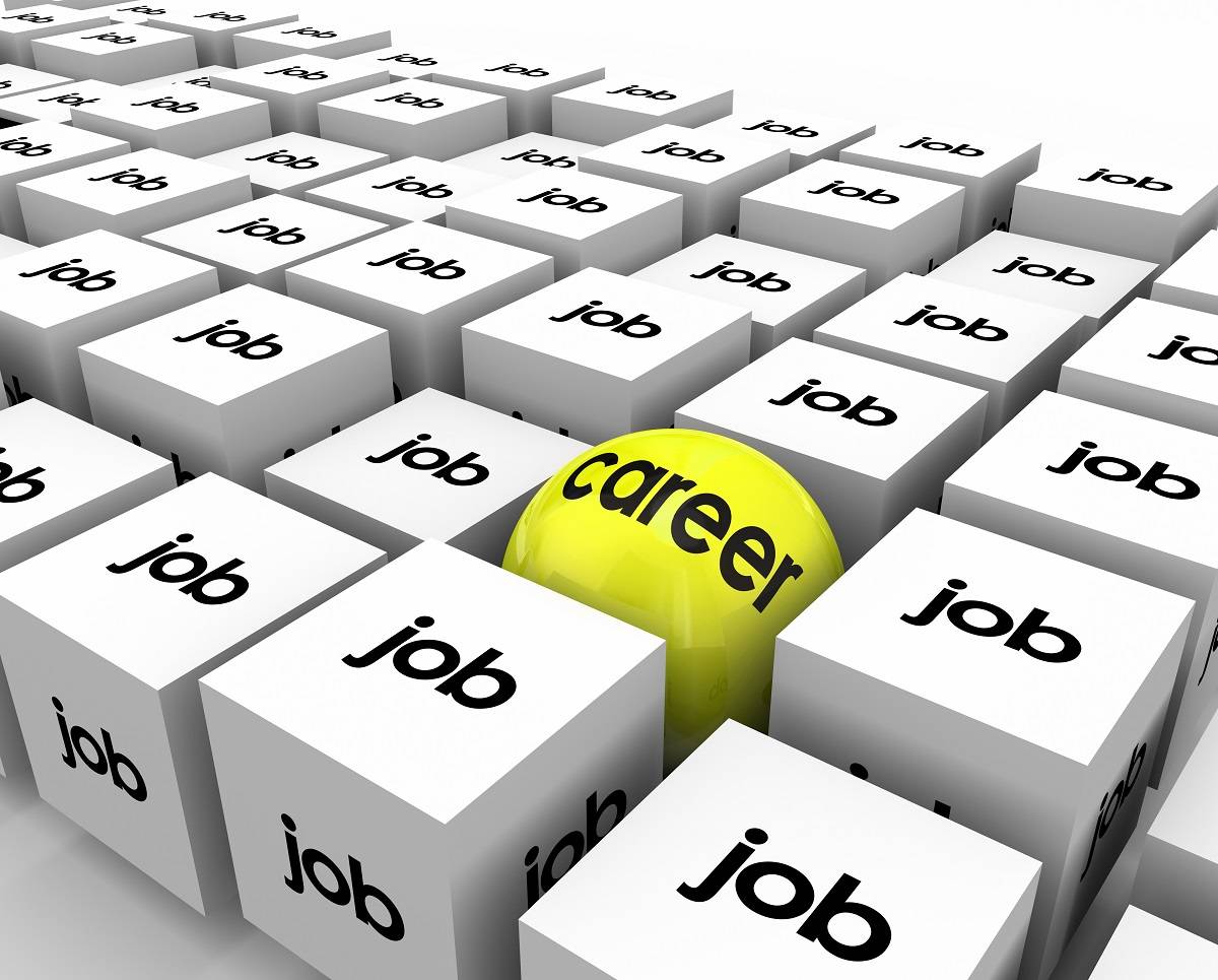 Career Circle with Job cubes