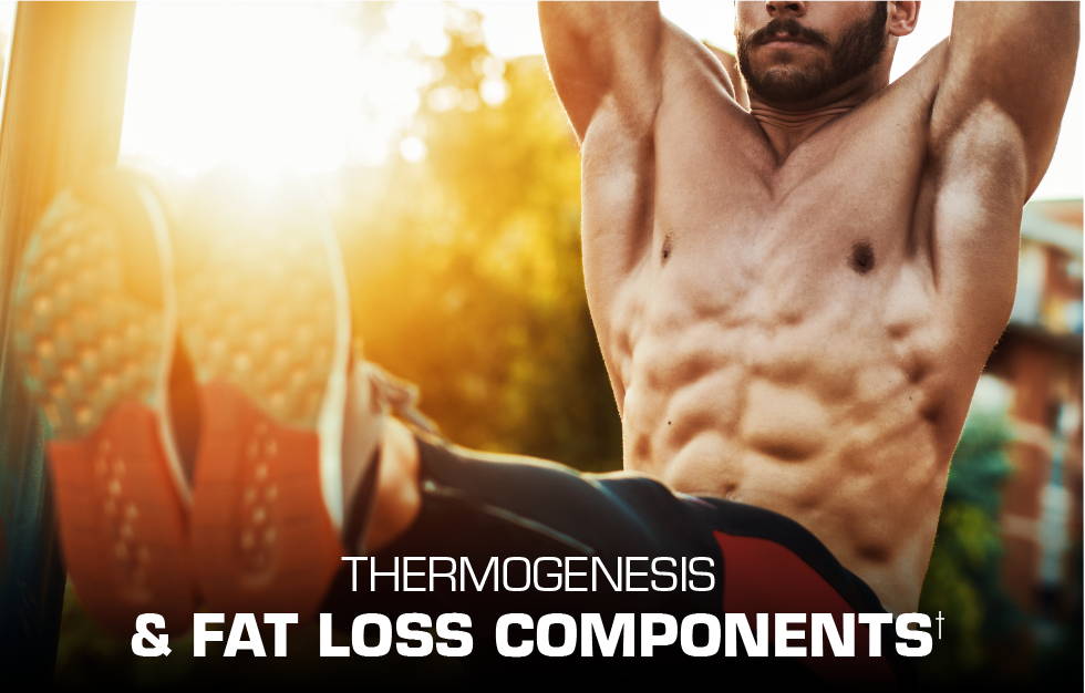 Thermogenesis and fat loss components