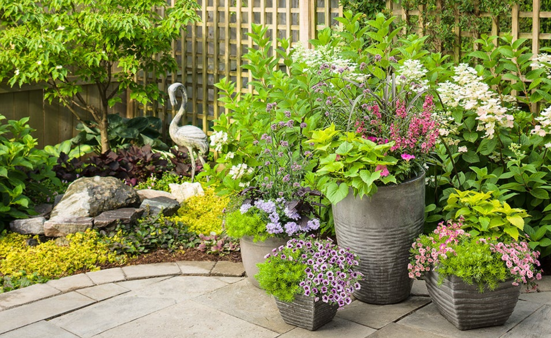 Backyard patio of Angelface® Perfectly Pink, Superbells® Blue Moon Punch™, Sweet Caroline: Bewitched Green With Envy™, Superbells® Double Orchid, Fairy Dust® Pink, Superbena® Stormburst, Lemon Coral®