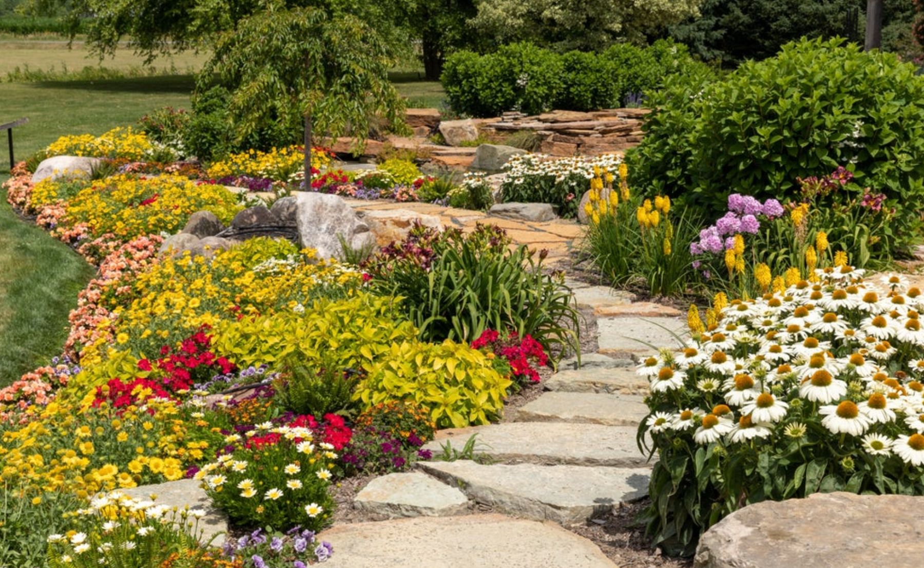 Proven Winners display garden planted with colorful annuals, perennials, and shrubs
