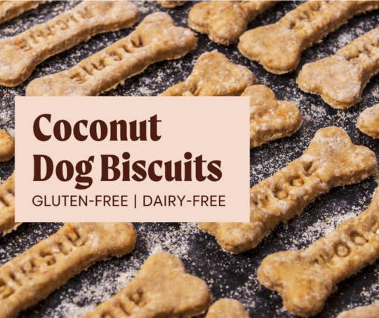 Coconut Dog Biscuits