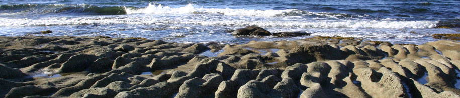 Sandstone rocks worn away by the ocean