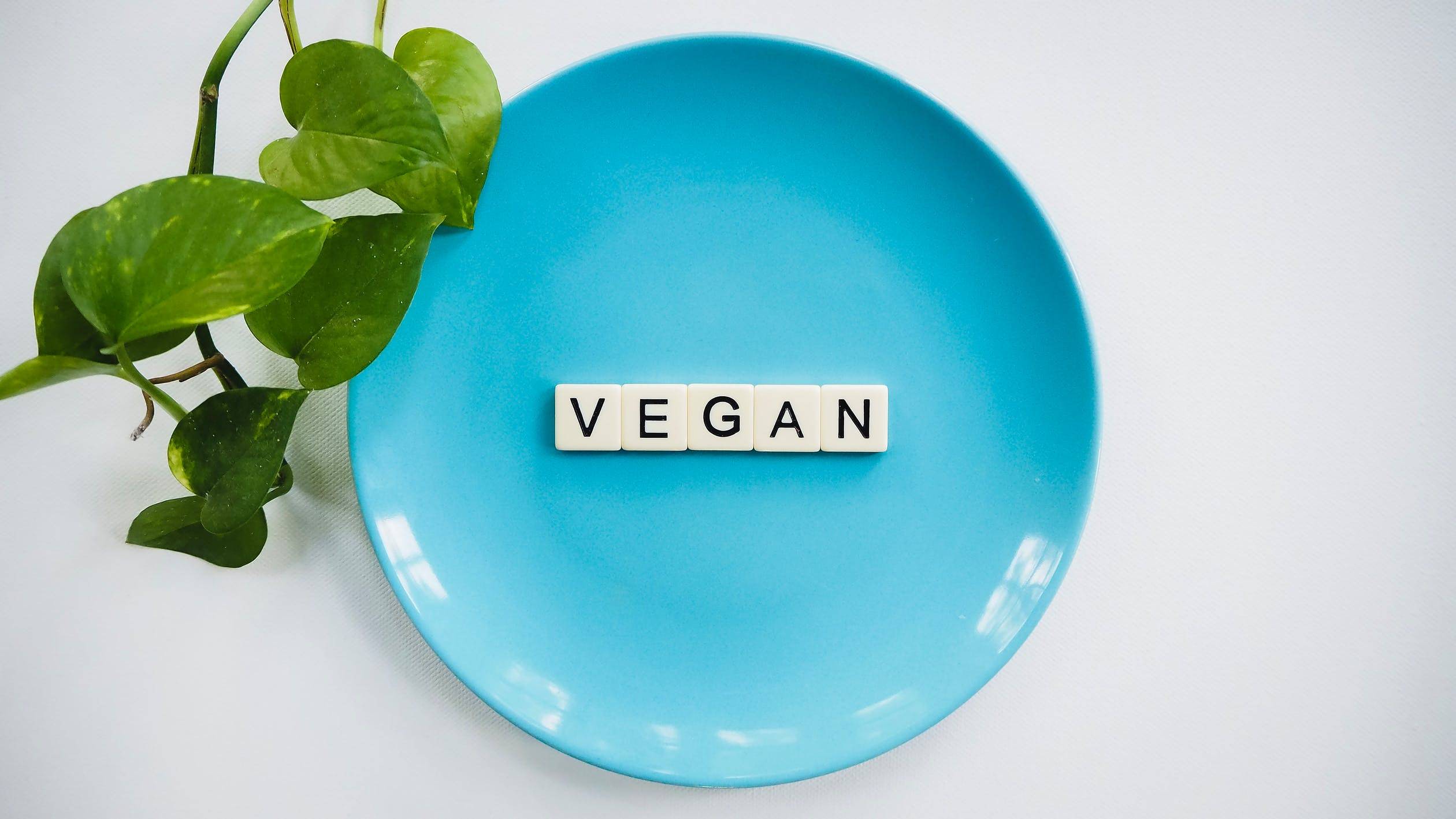 Vegan Letters On Plate