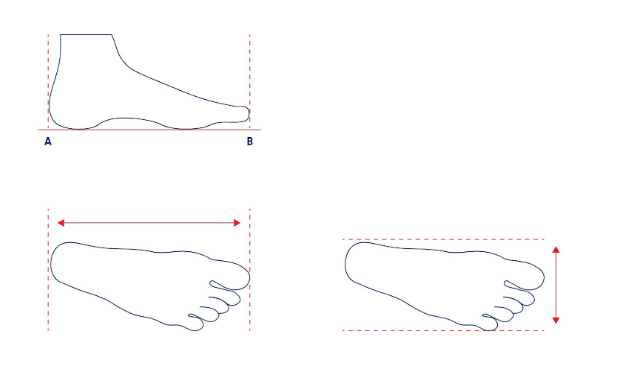 Virtuos Boxing Shoe Size Guide USA – virtuosboxing