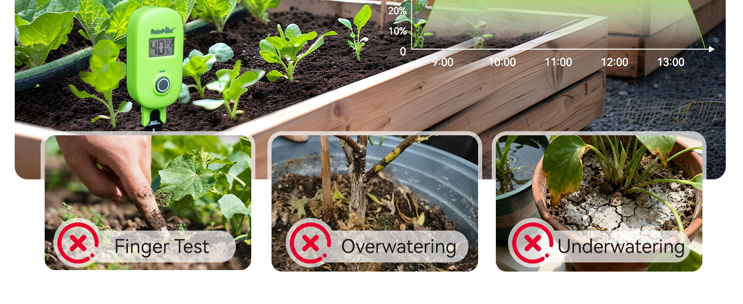 Gardening tips: finger test, overwatering, and understanding plant needs.