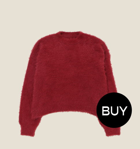 Red fuzzy sweater with a 