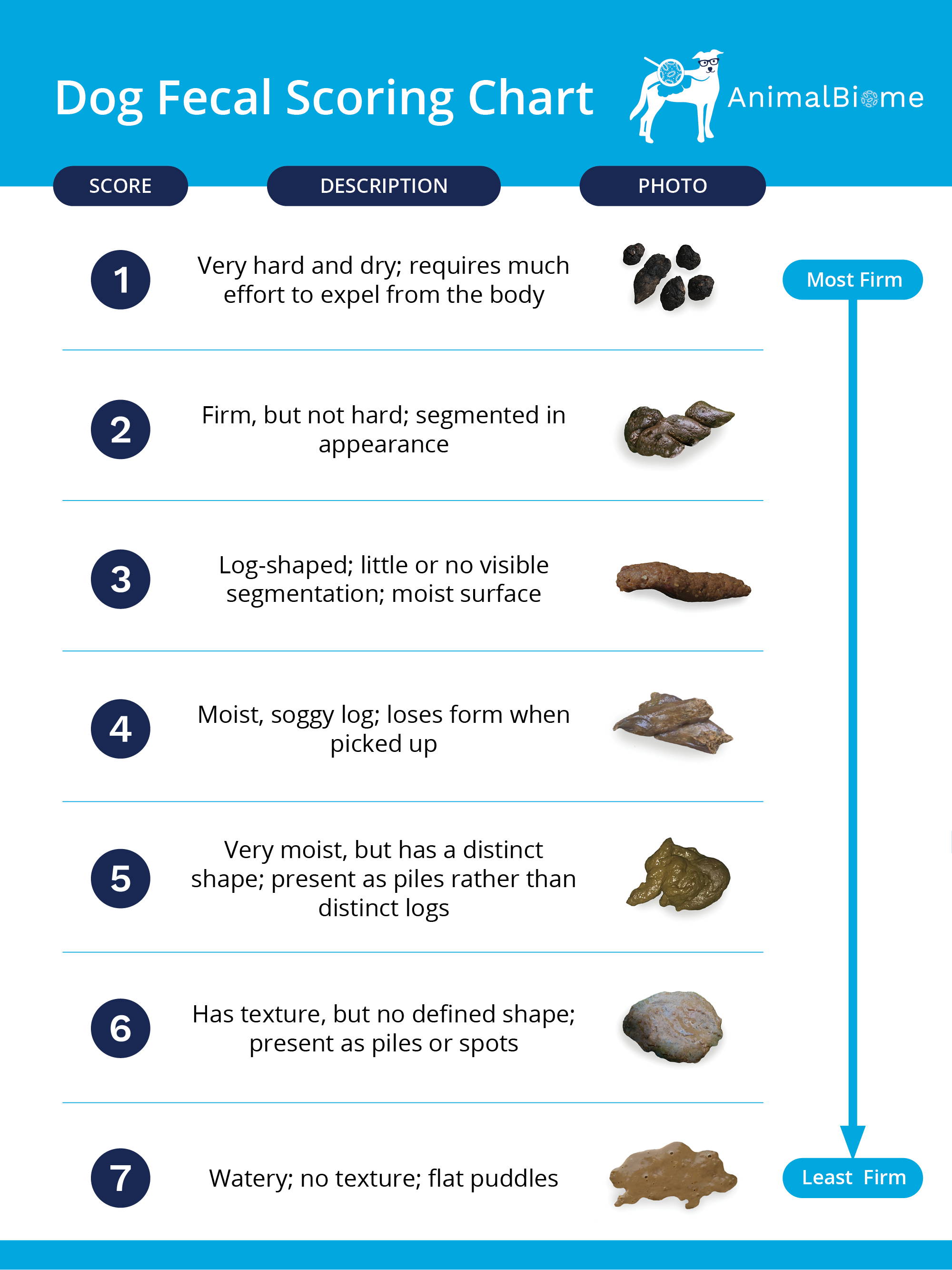 what stops dogs diarrhea