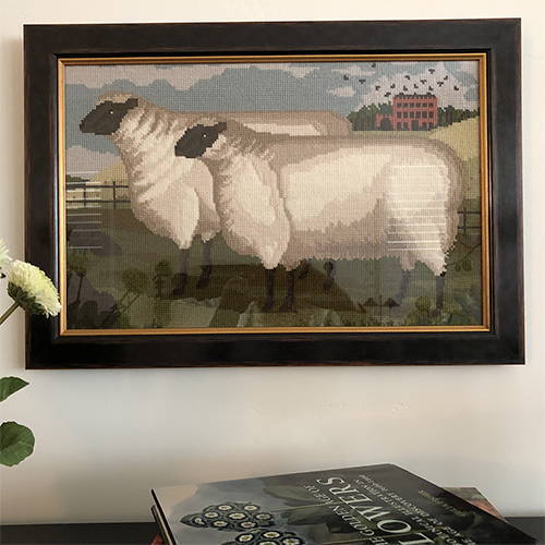 Framed Two Fat Suffolk Lambs needlepoint