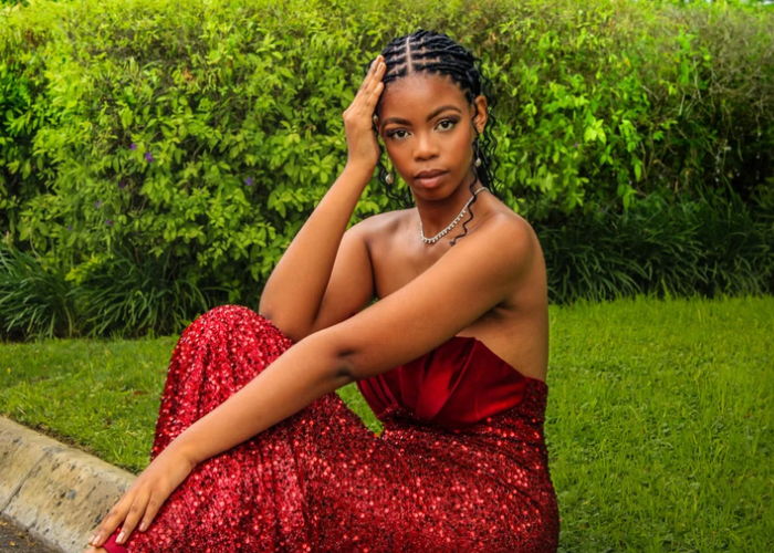 Box braids crochet hairstyles for natural hair