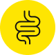 Icon of a stylized intestine on a yellow background.