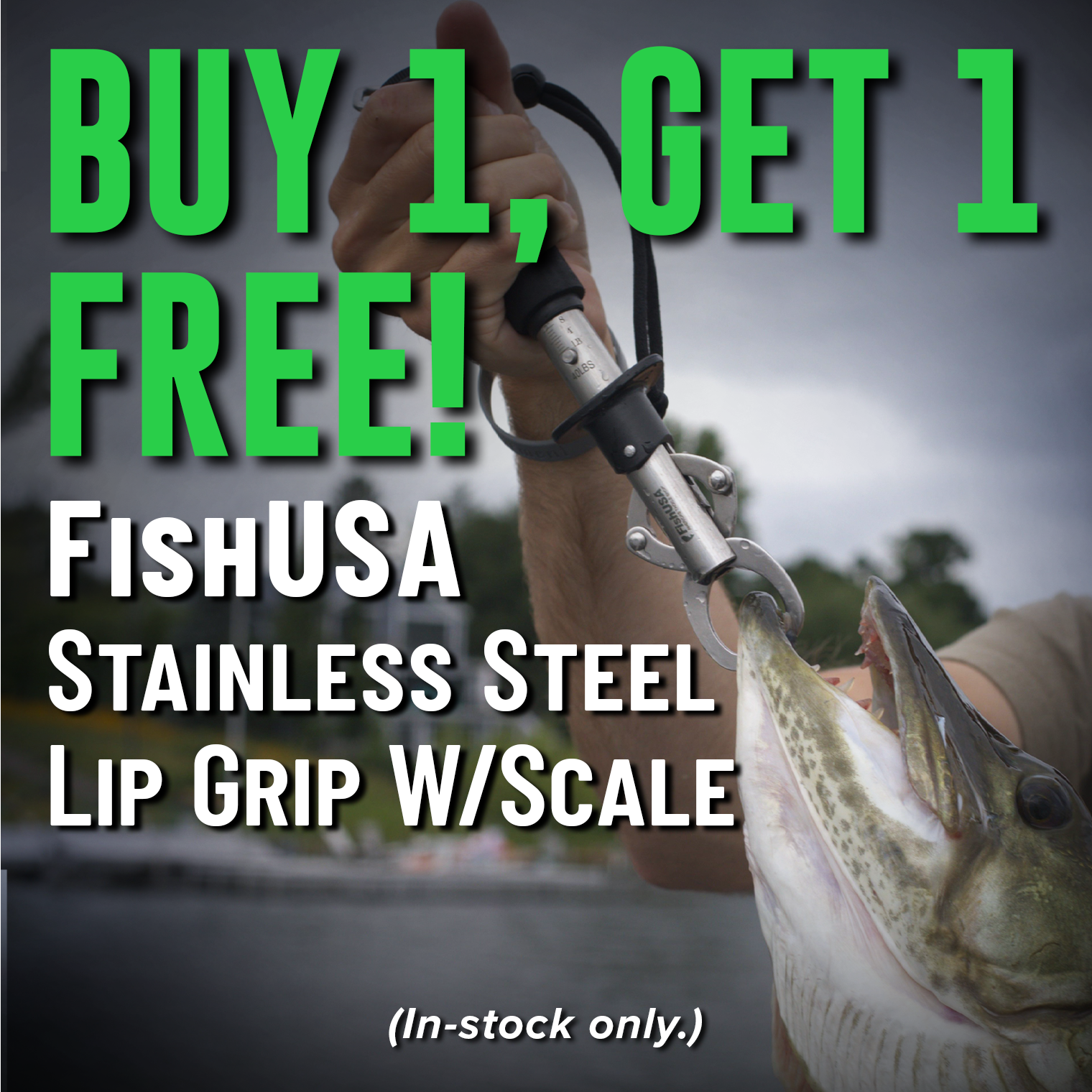 Buy 1, Get 1 Free! FishUSA Stainless Steel Lip Grip with Scale (Must add 2 to cart. In-stock only.)