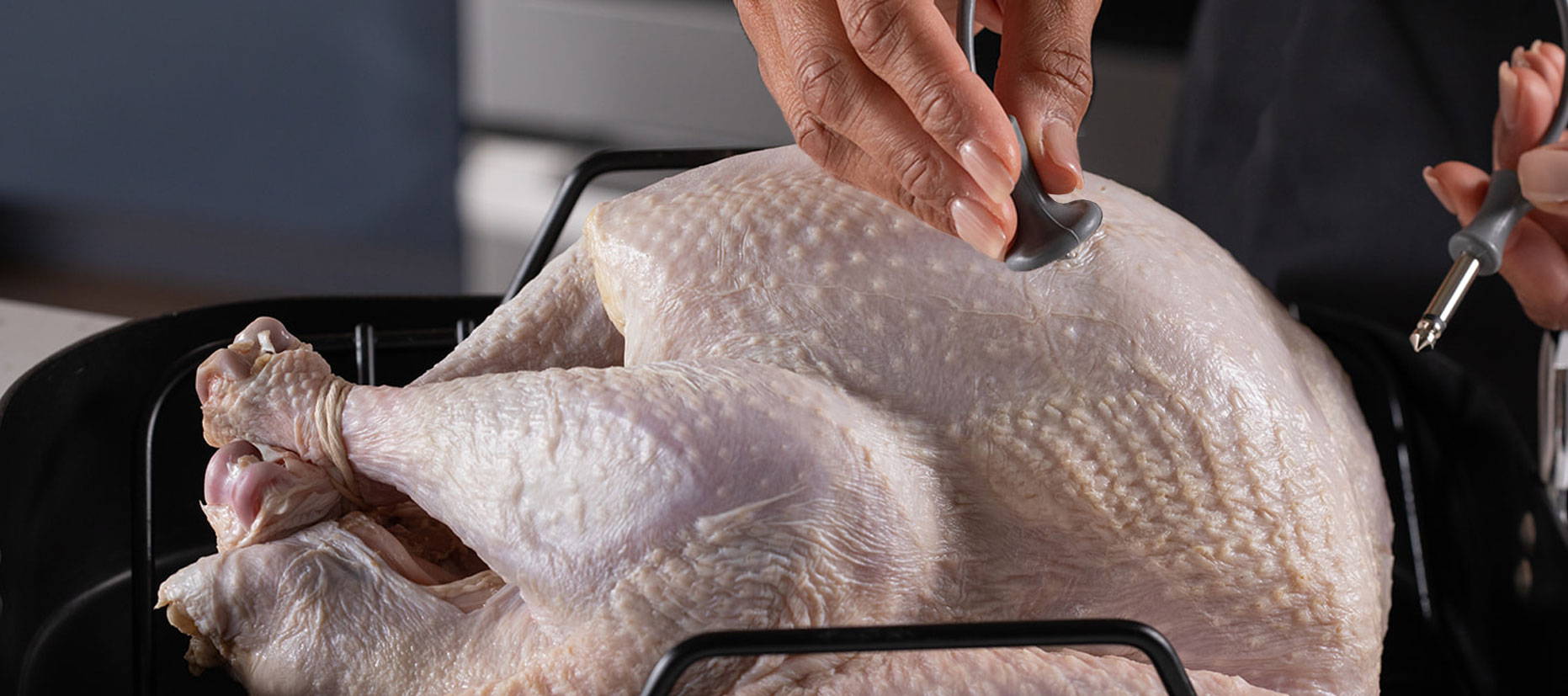 Probe placement for turkey