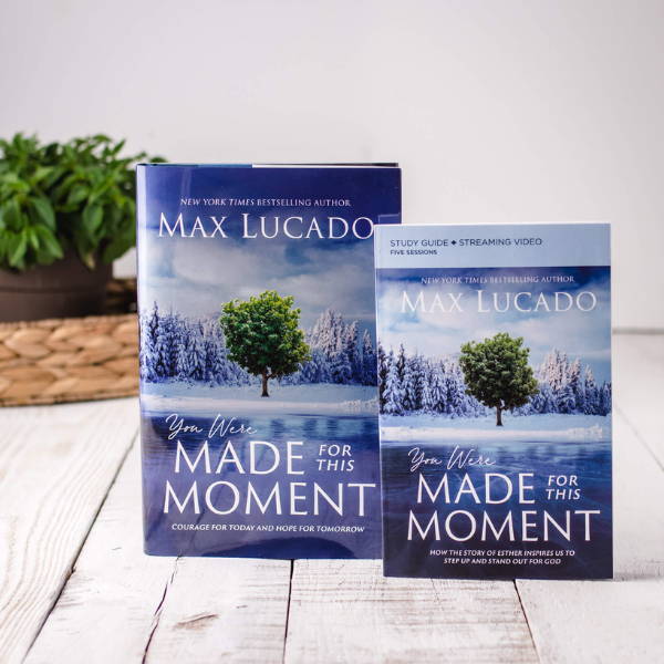 You Were Made for This Moment book and guide