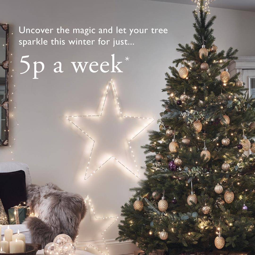 Uncover the magic and let your tree sparkle this winter for just 5p a week.